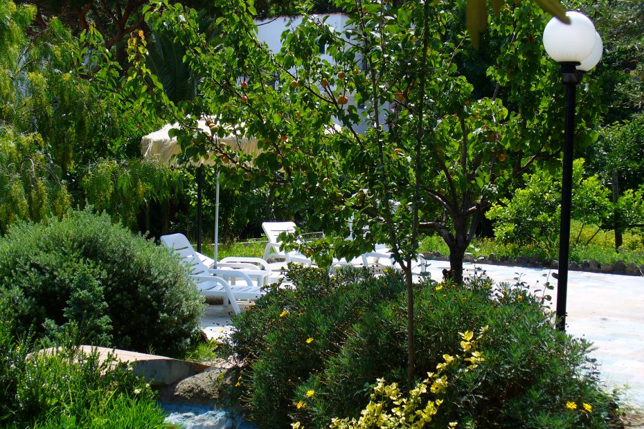 giardino-hotel-villa-lamarticana-ischia-21